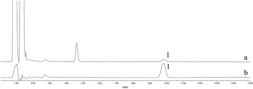 Figure 2 The HPLC chromatograms for encapsulation efficiency of T-A-Ls. a. Chromatogram of ultrafiltration solution. b. chromatogram of reference substance. 1. The chromatographic peak of ATS.