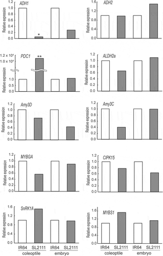 Figure 2. The candidate qACE3.1 region on chromosome 3 for coleoptile elongation under anaerobic conditions.