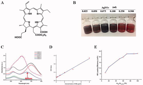 Figure 1. Synthesis of HB-AuNRs@cRGD. (A) Schematic diagram of HB structure. (B) Photographs and (C) UV absorption spectrum of AuNRs prepared by adding different concentrations of AgNO3. (D) Standard curve of HB concentration in ultrapure water. (E) HB-loading efficiency of HB-AuNRs@cRGD as a function of different mass ratio of HB/AuNRs.