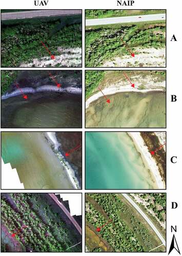 Figure 11. Spectral reflectance differences between UAV and NAIP imagery for PAC due to differences in the red, green and blue bandwidths.