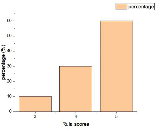 Figure 4. RULA scores: Sewing workers.