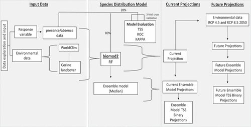 Figure 1. Conceptual workflow of the species distribution modelling framework implemented in this study.