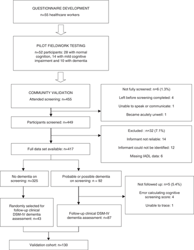 Fig. 1 Flow diagram of the IDEA-IADL development and validation process.