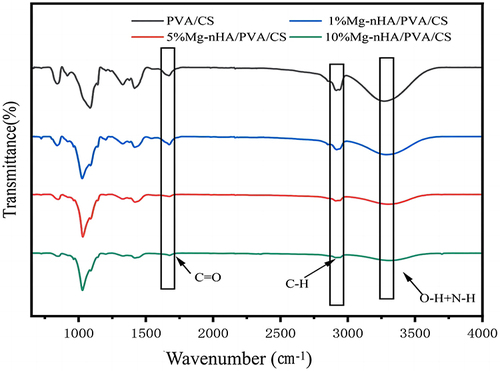 Figure 5 FTIR spectra of composite hydrogels doped with different concentrations of Mg-nHA.