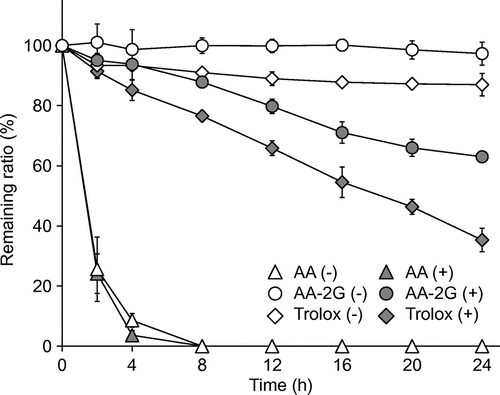 Fig. 7. Stability of AA, AA-2G, and Trolox in the culture medium.Note: AA (1 mM), AA-2G (1 mM), and Trolox (1 mM) dissolved in the culture medium were incubated in the presence (+) or absence (−) of AAPH (15 mM). After 2, 4, 8, 12, 16, 20, and 24 h, the remaining AA, AA-2G, and Trolox was determined by HPLC. Data are expressed as the mean of three independent experiments. Bars indicate SD.