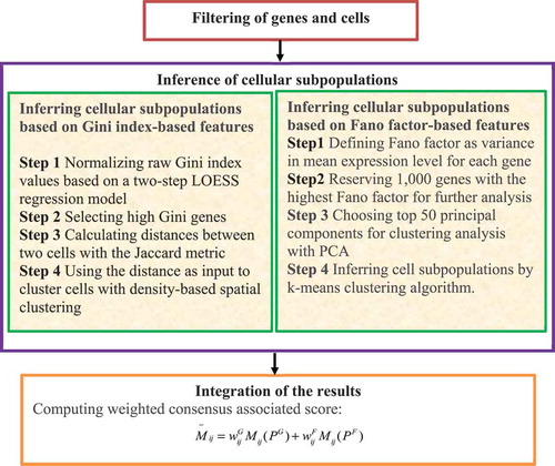 Figure 7. Flowchart of method combining gini index and fano factor.