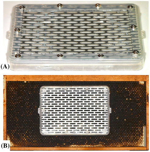 Figure 4. Push-in zinc queen excluder cage (A) and position of queen excluder cage on a honey bee hive frame (B).