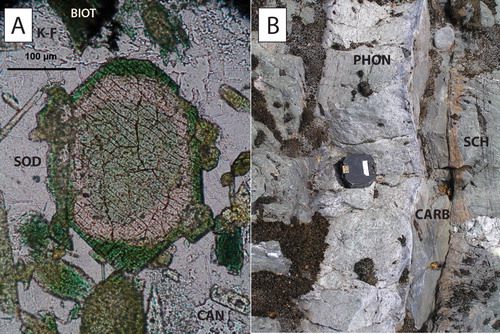 Figure 4. A, Photomicrograph of zoned clinopyroxene with pale green core and dark green aegirine rim with sodalite (SOD), green biotite (BIOT), alkali feldspar (K-F) and cancrinite (CAN) in microsyenite, OU28076, Haast River. B, Contact between phonolite (PHON, OU86382) and calcite-dolomite carbonatite (CARB, OU86396) intruding carbonated and fenitised Alpine schist (SCH), Burke River. Analyses of these dyke compositions are included in Supplementary Table 2 and their REE compositions are illustrated in Figure 7 (colour online).