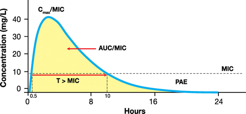 Figure 1 Pharmacokinetic-pharmacodynamic parameters for antimicrobial activity of antibiotics.