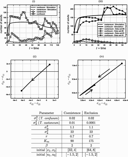 Figure 6. Graphs (i) and (ii) illustrate an evolution from competitive exclusion to coexistence by both Park's data and a simulation of the experiment by the Leslie–Gower EGT model (9) with K(v) given by EquationEquation (11) and a symmetric boxer effect defined by EquationEquation (14). The parameters used in the simulation appear in the table under the heading ‘coexistence’ and run for the 32 time steps corresponding to the data (collected every 2 weeks). Note that a boxer effect is present (β>σα). The data were obtained from Citation13. Graph (i) compares the time series obtained from both the data and the simulation. Without evolution, T. castaneum (x 2) would die out. With evolution, however, it recovers from near extinction as the system leaves the NE and NW exclusion quadrants and enters the coexistence SW quadrant (graph (ii)). Graphs (iii)–(iv) illustrate the fact that evolutionary path does not leave the NE quadrant unless the evolution of T. castaneum is fast enough ( is too small), with the result that T. castaneum goes extinct (the value of x 2 in the simulations is less than 1 at week t=68).