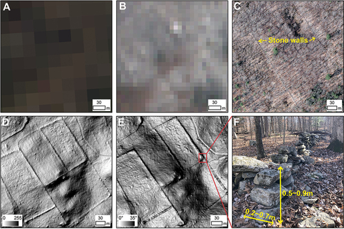 Figure 1. Visibility of stone walls with different imagery sources. a: Landsat 8 OLI (30 m), 3 January 2016; b: Sentinel-2 (10 m), 18 February 2016; c: Aerial photography (0.1m), March 2016; d: LiDAR derived hillshade (1m, Azimuth 315°), e: LiDAR derived slope (1m); f: Stone walls in field (yellow refers to overall physical properties of stone walls (Johnson and Ouimet Citation2016)).
