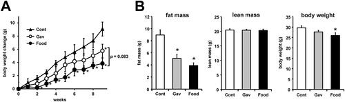 Figure 1 Changes in the body weight and biological characteristics of canagliflozin-treated mice. (A) Weekly changes in the body weight of mice in each group. (B) Fat mass, lean mass, and body weight of mice in each group detected using MRI analysis performed on week 8 of treatment. The data are expressed as the mean ± SEM. *p<0.05 vs control. N=5 for each group.