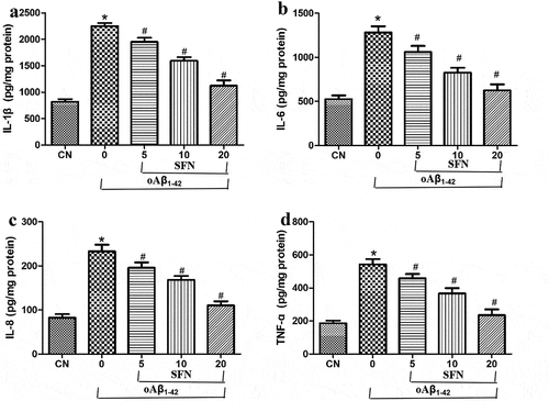 Figure 5. Sulforaphane’s protective effects involve mitigation of the inflammatory response induced by oligomeric Aβ1-42 (oAβ1-42). Cells were treated for 24 h with 10 μM oAβ1-42 and different concentrations of sulforaphane (SFN). Levels of (a) IL-1β, (b) IL-6, (c) IL-8, and (d) TNF-ɑ were assayed in the culture medium. *P < 0.05, compared to control group (CN); #P < 0.05, compared to oAβ1-42 group