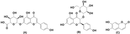 Figure 3 Chemical Structure of (A) Apigenin-7-glucuronide, (B) Dihydrokaempferol-3-glucoside, and (C) Aesculetin.