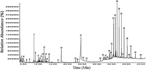 Figure 1. Total ion chromatogram of the volatile components and chemical composition in IndPPs. Chemical composition of Indian polyherbal phytogenic source (IndPPs) by CG-MS with retention time(rt): 1.- Toluene; 2.- Cyclotrisiloxane, hexamethyl-; 3.- 4,7-Methanoindan-2-one, 3a,4,7,7a- tetrahydro-; 4.- 1-Hexene,3,3,5-trimethyl; 5.- Cyclopentasiloxane, decamethyl-; 6.- 2-Decenal, (E)-; 7.- Thymol; 8.- Phenol, 2-methoxy-3-(2-propenyl)-; 9.- Benzene, 1-(1,5-dimethyl-4-hexenyl)−4-methyl-; 10.- Benzene, 1-(5,5-dimethyl-1-cyclopenten-1-yl)−2-methoxy-; 11.- Caryophyllene oxide; 12.- 2-Cyclohexen-1-one, 5-methyl-2-(1-methylethyl)-; 13.- 1,5-Heptadien-4-one, 3,3,6-trimethyl-; 14.- Cyclopropyl phenyl carbinol; 15.- Naphthalene, 1,2,3,4-tetrahydro-1,1,6-trimethyl-; 16.- 5-Hydroxymethyl-1,1,4a-trimethyl-6; 17.- Hexadecanoic acid, methyl ester; 18.- n-Hexadecanoic acid; 19.- 8-Octadecenoic acid, methyl ester; 20.- Phenol, 4-(3,7-dimethyl-3-ethenylo cta-1,6-dienyl)-; 21.- Oleic Acid; 22.- 9-Octadecenoic acid, (E)-; 23.- Hexadecanoic acid, 1,1-dimethylethyl ester; 24.- 11-Eicosenoic acid, methyl ester; 25.- Octadec-9-enoic acid; 26.- Cyclohexane, 1-(1,5-dimethylhexyl)−4-(4-methylpentyl)-; 27.- Tetracosane; 28.- 9,17-Octadecadienal, (Z)-; 29.- Hexacosane; 31.- Cinnamyl cinnamate; 32.- Heptacosane; 33.- Docosane; 34.- Triacontane; 35.- Nonadecane; 36.- Dotriacontane; 37.- D,.alpha.-Tocopherol; 38.- Silane, trimethyl[5-methyl-2-(1-methylethyl)phenoxy]-; 39.- Heneicosane, 11-decyl-; 40.- Silane, trimethyl[5-methyl-2-(1-methylethyl)phenoxy]-; 41.- Acetamide, N-[4-(trimethylsilyl)phenyl]-; 42.- Eicosane; 43.- Demecolcine.