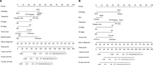 Figure 1 Nomograms for predicting (A) 1- and 5-year OS and (B) CSS of primary tracheal tumors.