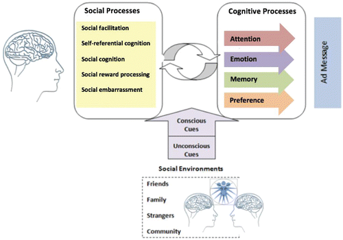 FIG. 1. Social processes affecting the way consumers experience advertising messages in real-world situations where the active human brain interacts with the social environment.