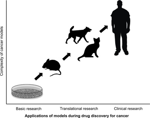 Figure 1 Importance of companion animal cancer models during drug discovery for cancer detection and treatment.