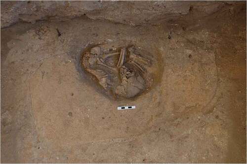 Fig. 1. Neonate embedded in a mudbrick at the base of a leaning mudbrick wall. Photo: Jason Quinlan. Courtesy Çatalhöyük Research Project.