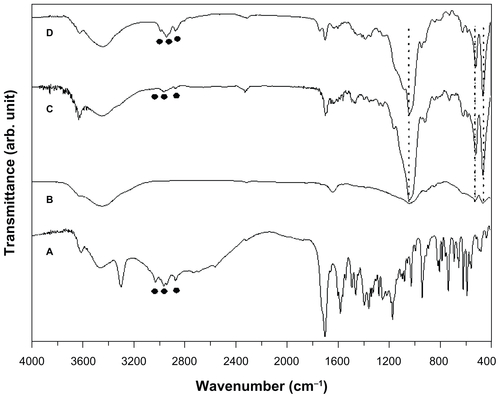 Figure S1 Fourier transform infrared spectra of (A) sildenafil citrate, (B) montmorillonite (MMT), (C) sildenafil–montmorillonite (SDN–MMT), and (D) polyvinylacetal diethylaminoacetate (AEA)-coated SDN–MMT.Notes: The circles (●) and the dashed vertical lines show the characteristic peaks seen with intact SDN and MMT.