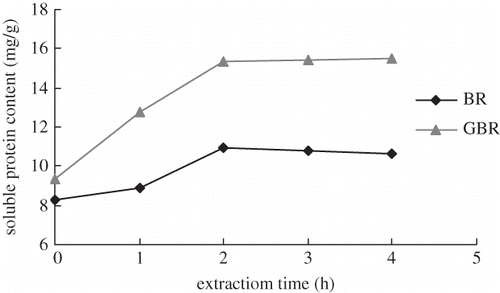 Figure 4 Relationship between extraction time and protein content. Extraction conditions: temperature 30°C; solid:solvent ratio 1:9; and pH 8.5.