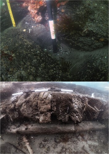 Figure 11. Structure from Invincible 1758. Photo A) showing filling timber between frame bends from starboard side stern structure from roughly gun deck level, the scale is 50 cm with 10 cm increments. Photo B) shows filling timber at roughly the floor heads on the starboard side amidships, the scale is 1 m with 20 cm increments (photos by Daniel Pascoe).