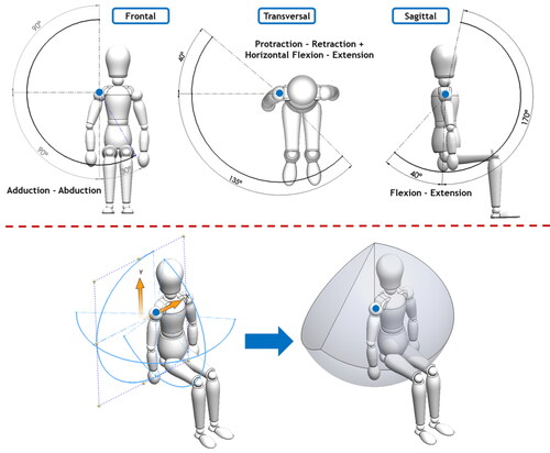 Figure 3. Composition of upper limb workspace based in AAOS.