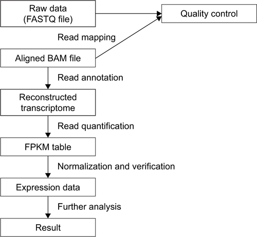 Figure S1 Schematic overview of the transcript analysis of the RNA-seq experiment.Notes: Briefly, we used TopHat to align raw FASTQ files and used Cufflinks read annotation and quantification. FastQC was used to check read quality.Abbreviation: FPKM, fragments per kilobase of exon per million fragments mapped.