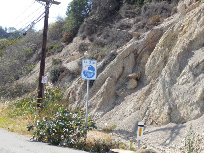 Figure 1. Tsunami vertical sign that indicates entering a hazard zone. (Photo taken by the third author at the California coast on 2013 May 13).