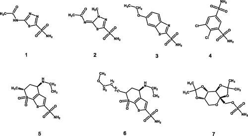 Figure 1. Carbonic anhydrase inhibitors in clinical use: (1) acetazolamide, (2) (methazolamide, (3) ethoxzolamide, (4) dichlorphenamide, (5) dorzolamide, (6) brinzolamide, and (7) topiramate.