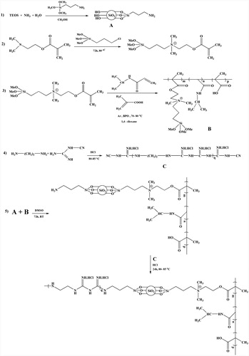 Figure 1. Synthesis route of P(NIPAAm-MAA-DMAEMAQ)&MSNs&PECGC.