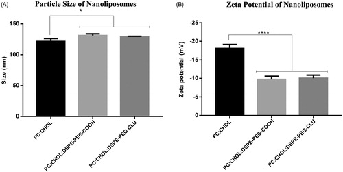 Figure 2. Determination of particle size distribution (A) and zeta potential (B) of nanoliposomes before and after CLU conjugation. Statistically significant differences were found between the non-PEGylated (PC:Chol) and PEGylated formulations. *p < 0.05 versus PC:Chol, ***p < 0.001 versus PC:Chol, respectively.