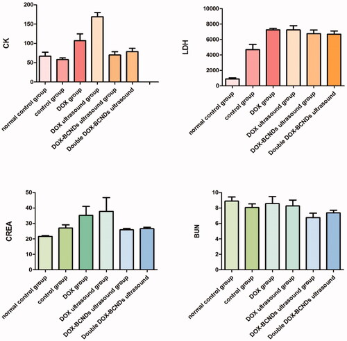 Figure 7. Comparison of CK, LDH, CREA, and BUN levels among the groups.