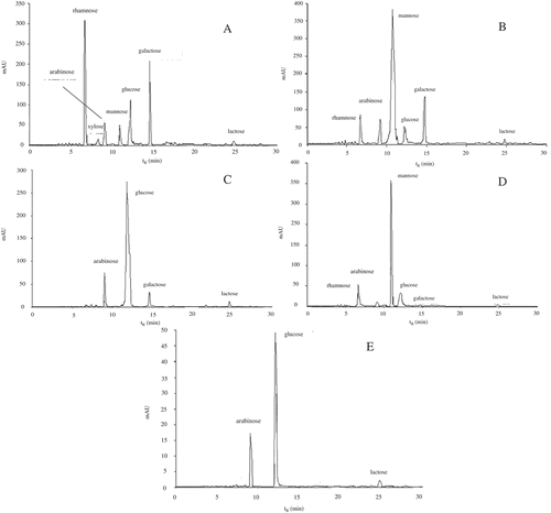 FIGURE 2 HPLC chromatogram of soluble sugars in different fermentation periods of pickled wax gourd (A–E: pickled for 0, 5, 10, 15, and 20 days, respectively).