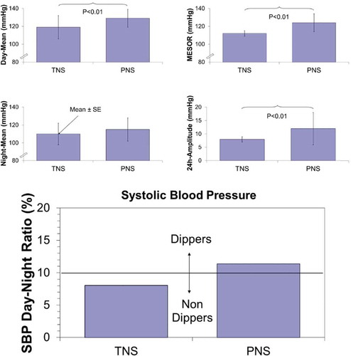 Figure 5. “Cugini’s minimal-change hypertensive retinopathy”. TNS: “Truly Normotensive Subjects”; PNS: “Putatively Normotensive Subjects”. © Halberg Chronobiology Center.