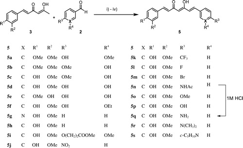 Scheme 3. Reagent and conditions for synthesis of asymmetrical curcumin derivatives 5: (i) 3, B2O3, ethyl acetate, 90 °C; (ii) 2, n-(BuO)3B, ethyl acetate, 90 °C; (iii) n-BuNH2, ethyl acetate, 90 °C; (iv) hydrochloric acid (1M, aq.), 50 °C.