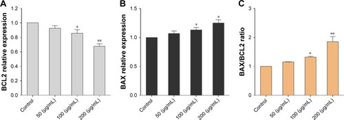 Figure 11 Effects of NGOs with different concentrations after 24 hours on the expression of BCL2 (A), BAX (B), relative BAX/BCL2 (C) genes in lymphocyte cells.Notes: Data were reported as mean ± SD. *P<0.05 and **P<0.01 compared to the control group.Abbreviations: NGO, nano graphene oxide; BCL2, B-cell lymphoma-2.
