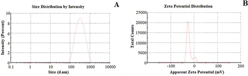 Figure 2 Particle size (A) and ZP (B) of optimized NSs (CDN3).