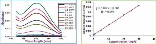 Figure 2. Absorbance and calibration curves of catechin standard.