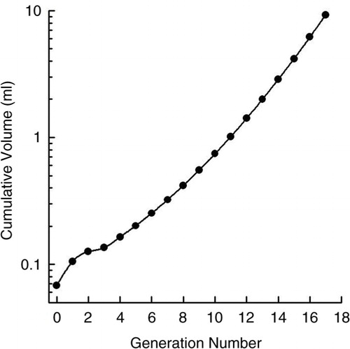 Fig. 10 The cumulative volume of airway surface liquid, in relation to the number of generations of airways assuming 10 µm for the periciliary fluid depth. Reproduced with permission from (Citation123).