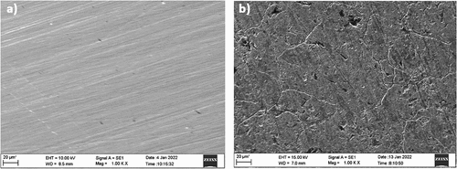 Figure 13. SEM images of (a) copper (without treatment) (b) AISI 5140 steel after immersion in 3.5 wt% NaCl solution.