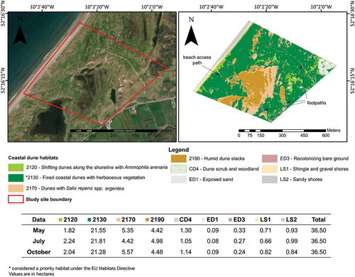 Figure 7. Supervised Random Forest classification map of coastal dune habitats in the Magharees, County Kerry, and the computed area (in ha) for each habitat type classified using UAV images acquired at three different times within the growing season. The classified map is based on the July data.