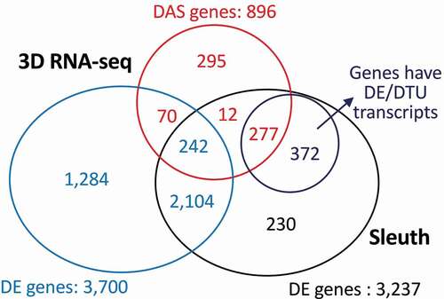 Figure 5. Comparison of the gene lists generated by 3D RNA-seq and Sleuth pipelines. The RNA-seq data on dexamethasone treatment of mice cells was taken from Citation9. Comparable parameters were applied when running 3D RNA-seq and Sleuth. The Venn diagram compares the DE genes from Sleuth to DE and DAS genes and DE and DTU transcripts from 3D RNA-seq