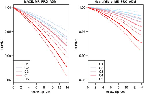Figure 1. Kaplan–Meier Curves by quintile of midregional pro-adrenomedullin (MR-proADM) for major adverse cardiac events (MACE) and heart failure after adjustment for age and gender. Dotted lines indicate the 95% confidence intervals. C1: Quintile 1, MR-proADM concentration < 0.36 nmol/L; C2: Quintile 2, MR-proADM concentration ≥ 0.36–0.48 nmol/L; C3: Quintile 3, MR-proADM concentration ≥ 0.48–0.50; C4: Quintile 4, MR-proADM concentration ≥ 0.50–0.59; C5: Quintile 5, MR-proADM concentration ≥ 0.59.
