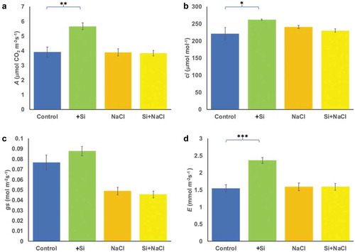 Figure 2. Changes in photosynthesis-associated parameters due to salinity and silicon treatments. The parameters include the net photosynthesis (A) (a), internal leaf CO2 concentration (ci) (b), stomatal conductance (gs) (c) and transpiration (E) (d). The values represent the means (n = 9 ± SE) and significant differences at p < .05, p < .01, p < .001 are marked by asterisks as (*), (**), and (***), respectively.