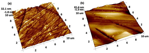 Figure 1. Three-dimensional representation of the Atomic Force micrographs of mechanically polished 3 micron (a) and 400 grit (b) finished surfaces.