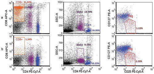 Figure 1. PBMCs population before (A) and after (B) CD8+ depletion using anti-CD8+-coated magnetic beads. CD4+, CD8+, monocyte (Mono) and regulatory T cell (Treg) were gated to allow determination of population densities. Data from healthy donors (n = 3; experiment conducted in triplicate) were acquired using BD LSRFortessa and analyzed using FCS Express v.4. Following the depletion step, CD8+ cells were almost absent gating and did not interfere with Treg population density.