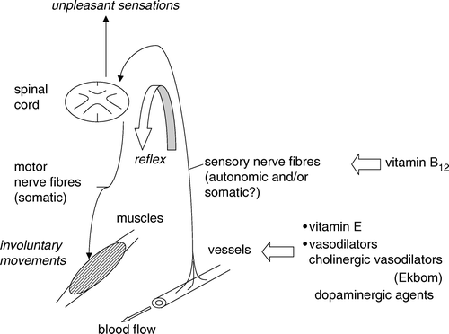 Figure 1.  Change of blood flow dynamics when lying down at night may stimulate sensory nerve fibres. A withdrawal reflex may cause involuntary movements in the legs. Relief of unpleasant sensations could be induced by stabilization of blood vessels and sensory nerve fibres.