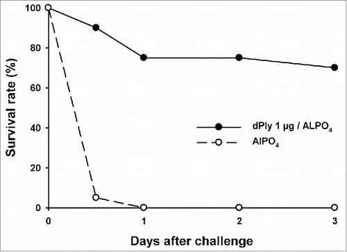 Figure 3. Mouse survival upon pneumolysin intranasal challenge. Mice (n = 20/group) were immunized twice intramuscularly at a 2-week interval with 1 µg of dPly adjuvanted with alum or with alum only. Fourteen days after the second injection, mice were challenged intranasally with 2 µg of Ply. The mortality was recorded during 3 d.