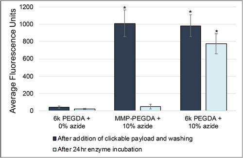 Figure 6. Enzyme-initiated release is achieved with degradable PEGDA. An MMP-sensitive peptide sequence was incorporated into the PEGDA backbone to create an enzymatically-degradable polymer (MMP-PEGDA). MMP-PEGDA was delivered to agar beads with 10% acrylate-PEG-azide, and a non-degradable PEGDA condition was included as a positive control for capture. Both degradable and non-degradable conditions had a significant increase in fluorescence compared to the no azide control, indicating that the synthesized product was able to crosslink within the agar and capture Cy5-DBCO. Beads were incubated with a collagenase enzyme for 24 h, and the payload was fully released after 24 h in the degradable PEGDA condition. The Cy5 payload was retained in the non-degradable control. (*p < .001).